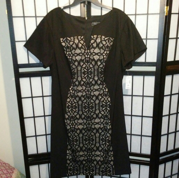 Dress Barn Dresses Collections Blackcream Lace Dress Nwt Poshmark